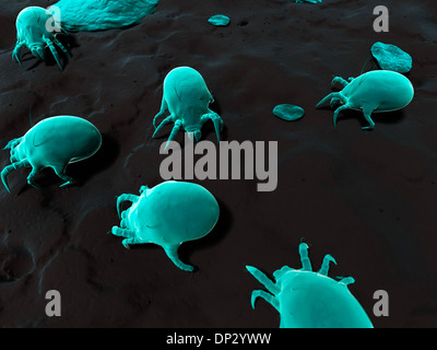 Dust mite, artwork Stock Photo