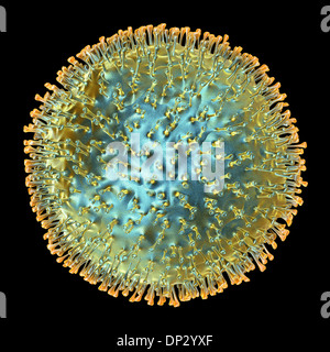 Avian influenza virus, artwork Stock Photo