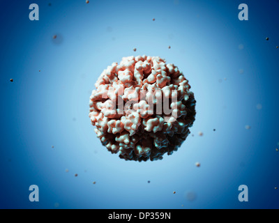 FELINE CALICIVIRUS Stock Photo: 25569161 - Alamy