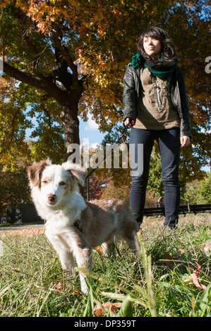 A young woman and her dog in Williamsburg, NYC Stock Photo