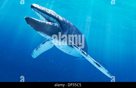 Blue whale, artwork Stock Photo