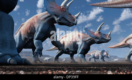 Artwork of a herd of triceratops Stock Photo
