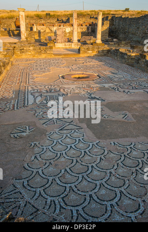 Mosaics and ruins at Stobi, 2000 year old Roman town in Southern Macedonia, Western Balkans Stock Photo