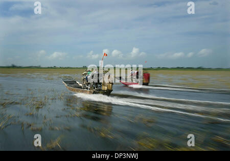 Jul 14, 2006; Clewiston, FL, USA; Two of five egg hunter airboats race along Lake Okeechobee to a designated site to search for nests.  Florida Fish and Wildlife officials, Alligator farmers, and volunteers, hunt for alligator eggs each summer in the thick marsh of Lake Okeechobee.  In an effort to control the alligator population, officials report that egg hunters recovered 150,00 Stock Photo