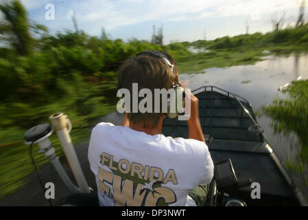 Jul 14, 2006; Clewiston, FL, USA; A Florida Fish and Wildlife worker quickly navigates the waters of Lake Okeechobee to get into position to recover alligator eggs with other workers.  Egg hunters are generally on the water just after sunrise and often remain at work until mid to late afternoon.   Florida Fish and Wildlife officials, Alligator farmers, and volunteers, hunt for alli Stock Photo
