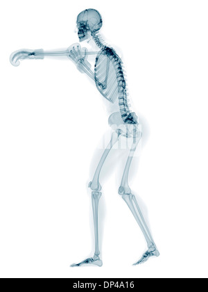 Skeleton boxing, artwork Stock Photo