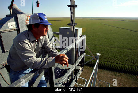 Aug 12, 2006; Dumas, TX, USA;  Farmer Rodney Bohlender stands atop a platform overlooking his cornfields Thursday, July 27, 2006 in Dallam County. Bohlender farms several hundred acres of corn. Estimated drought losses for Texas have reached $4.1 billion, eclipsing the $2.1 billion mark set in 1998, Texas Cooperative Extension economists reported Aug. 11. Crop losses are estimated  Stock Photo