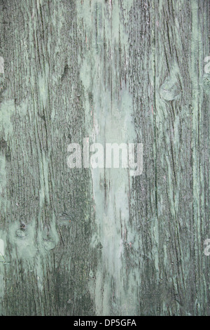Old rustic piece of wood painted in light green. Stock Photo