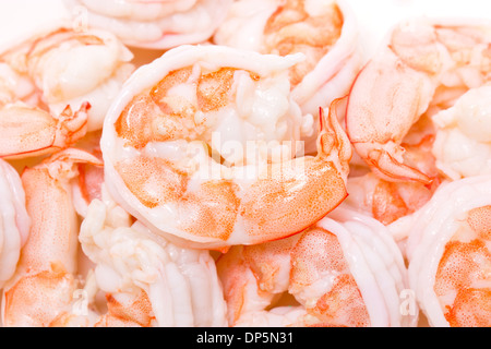 Cooked unshelled shrimps. Stock Photo
