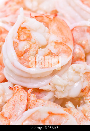 Cooked unshelled shrimps. Stock Photo