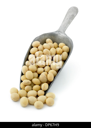 soya beans in a scoop Stock Photo