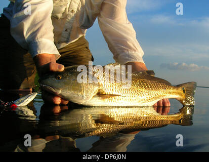 Topwater plug hi-res stock photography and images - Alamy