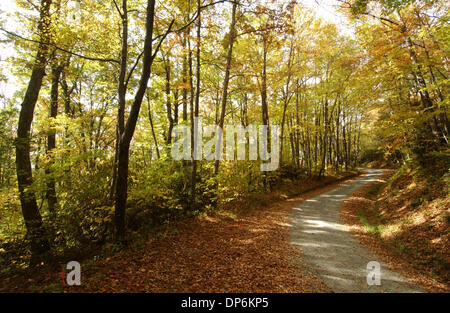 Oct 19, 2006; Boone, NC, USA; A high mountain road near Boone shows the changing leaves during the fall color change in the western part of North Carolina. Mandatory Credit: Photo by Sean Meyers/ZUMA Press. (©) Copyright 2006 by Sean Meyers Stock Photo