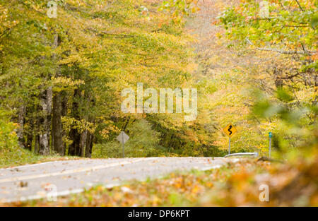 Oct 19, 2006; Boone, NC, USA; The fall color change in the western part of North Carolina.   Mandatory Credit: Photo by Sean Meyers/ZUMA Press. (©) Copyright 2006 by Sean Meyers Stock Photo