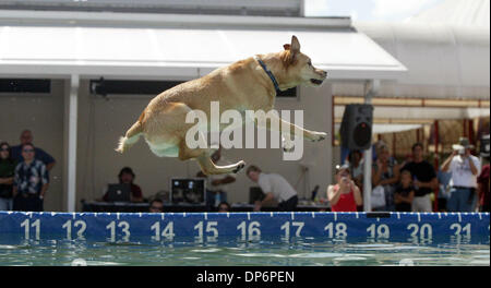Oct 21, 2006; West Palm Beach, FL, USA; Yellow lab Lilly Moon retrieves a chase toy thrown by her handler Karen Gleason of Fort Myers during the DockDogs National Sportsman's tour at the West Palm Beach Home & Garden Show at the Florida Expo Center at the South Florida Fairgrounds Saturday. Lilly Moon is in the finals Sunday after jumping 19-feet, 4 inches. Dogs leap off a pier to  Stock Photo