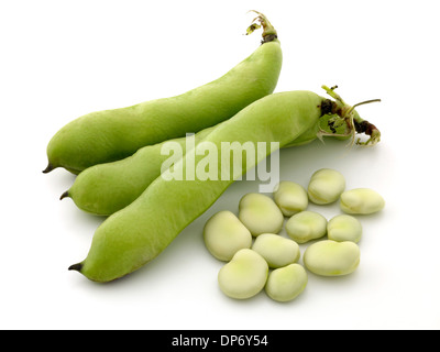 broad beans Stock Photo