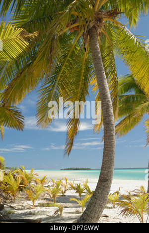 Tapuaetai Motu in Aitutaki Lagoon, Cook Islands Stock Photo