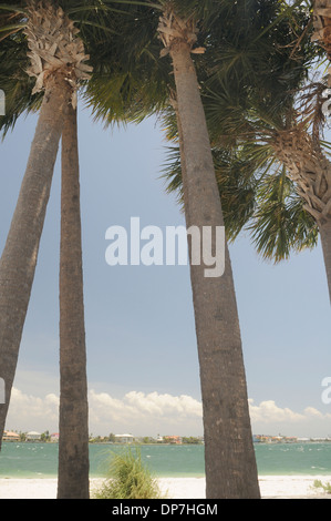 View of Palm Trees and Across Intracoastal Waterway in St. Petersburg Beach, Florida Stock Photo