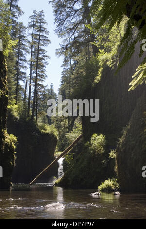 Nov 22, 2006; Eagle Creek, OR, USA; Sunny view of Punch Bowl Falls along the Eagle Creek trail in the Columbia River Gorge National Scenic Area. Mandatory Credit: Photo by Richard Clement/ZUMA Press. (©) Copyright 2006 by Richard Clement Stock Photo