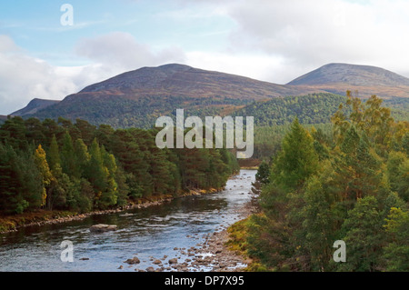 A view of the River Dee and Ballochbuie Forest near Braemar, Aberdeenshire, Scotland, United Kingdom. Stock Photo