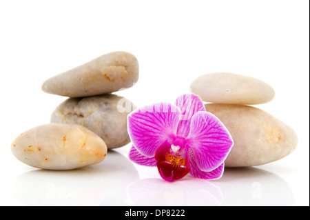 Nature pink Orchid and white hot stones isolated over white Stock Photo