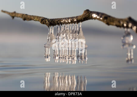 Harrison, Tennessee, USA.  8th January, 2014.  Unusually cold weather caused by the 'polar vortex' produces ice along the shore of Harrison Bay, near Chattanooga, Tennessee Credit:  TDP Photography/Alamy Live News Stock Photo