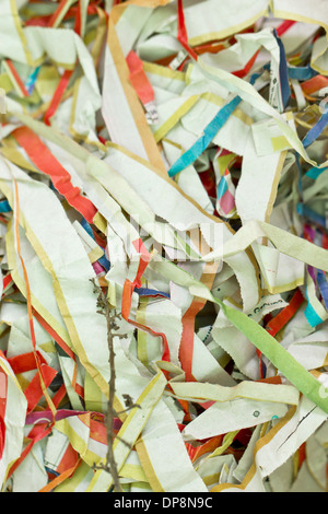 Shredded paper background. Stock Photo