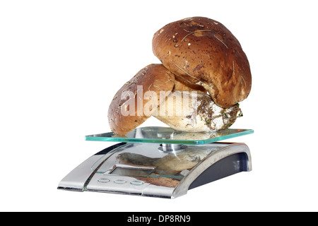 fresh mushrooms ( porcini, boletus edulis ) on weighing machine over white background Stock Photo