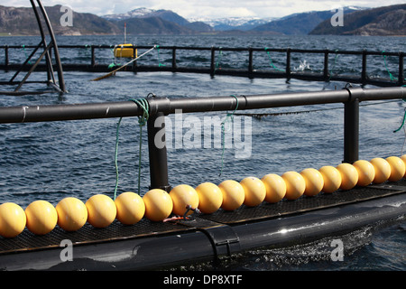 Fragment of fish farm for salmon growing in Norway Stock Photo