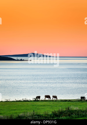 Summertime in Iceland with the midnight sun. Stock Photo