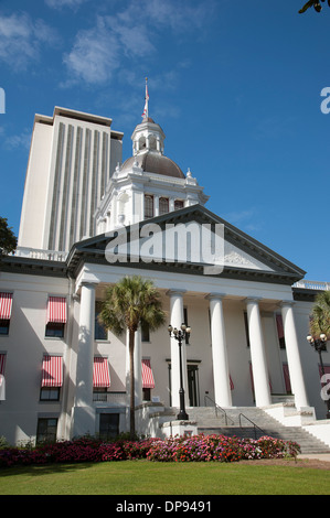 Historic Capitol buildings Tallahassee Florida USA Stock Photo - Alamy