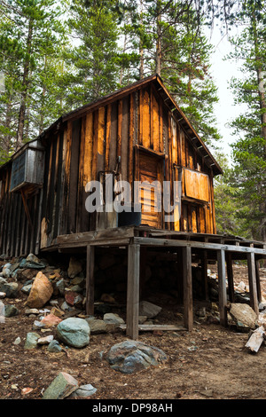 Usa California Mammoth An Old Abandoned Cabin Stands Weathered