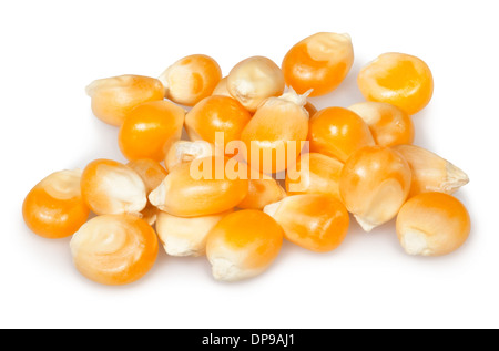 corn dry kernels group isolated on white Stock Photo