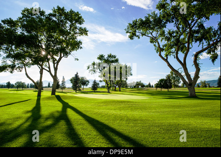 Backlit view of late afternoon light on lush nine hole Salida, Colorado, Golf Course Stock Photo