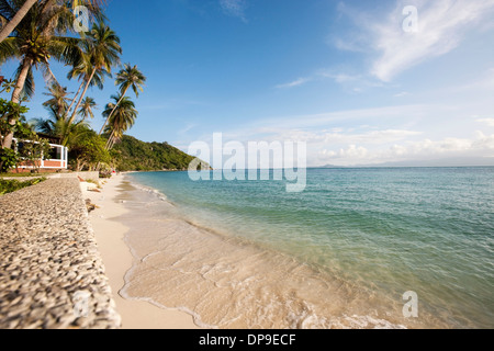 Beach and palm trees on Koh Pha Ngan  Thailand Stock Photo