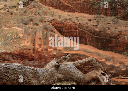 Footsteps and graffiti worn into soft sandstone canyon walls in Oklahoma's Redrock Canyon State Park Stock Photo
