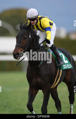 Kyoto, Japan. 5th Jan, 2014. Garbo Horse Racing : Garbo is led through ...