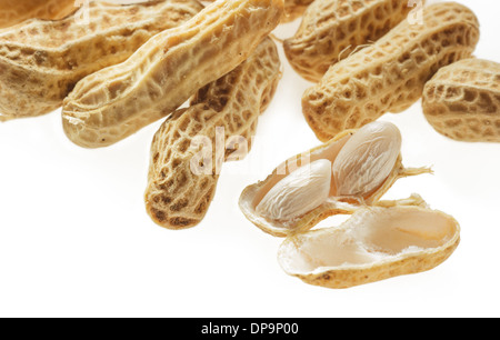 closeup boiled peanuts on white background Stock Photo