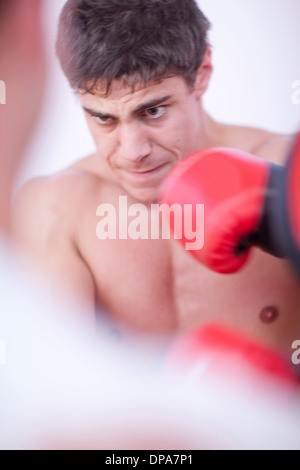 Close up portrait of boxer Stock Photo