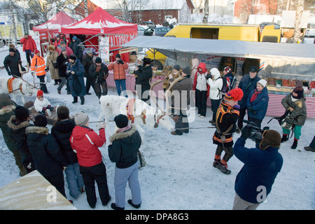 Reindeer caravan Jokkmokk fair Same Laponia Sweden Stock Photo
