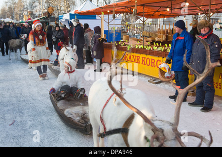 Traditional Reindeer caravan with Same Laplander in Folk costume Jokkmokk fair Laponia Sweden Winter Stock Photo