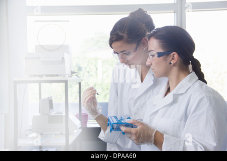 Biology students working in lab Stock Photo