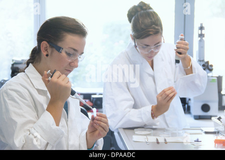 Biology students working with pipettes in lab Stock Photo