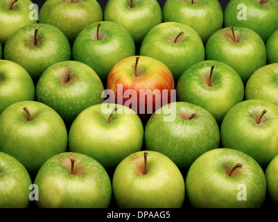 Group of green apples with one red apple Stock Photo