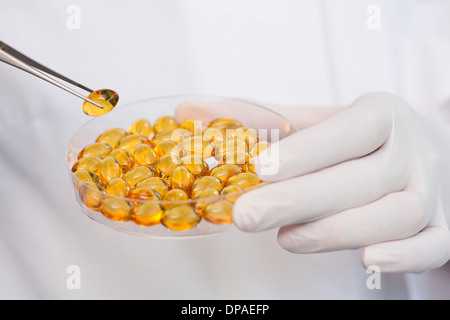 Removing fish oil capsules from petri dish with tweezers Stock Photo