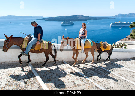 Tourist riding a donkey up the steps leading from the old port to the village of Fira on the Greek island of Santorini. Stock Photo