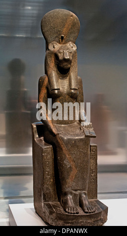 Egyptian statue of the lioness goddess Sekhmet in the Vatican Museum ...
