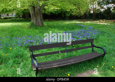 Glastonbury Abbey gardens in spring, Glastonbury UK Stock Photo