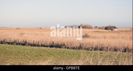 Cley, Norfolk, UK. 11th January 2014. USAF HH-60G Pave Hawk helicopter at  site on the North Norfolk coast at Cley where another crashed leaving four US airmen dead Credit:  Tim James/The Gray Gallery/Alamy Live News Stock Photo