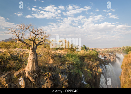 Baobab tree on the edge of the Epupa Falls, Northern Namibia, Africa. Stock Photo